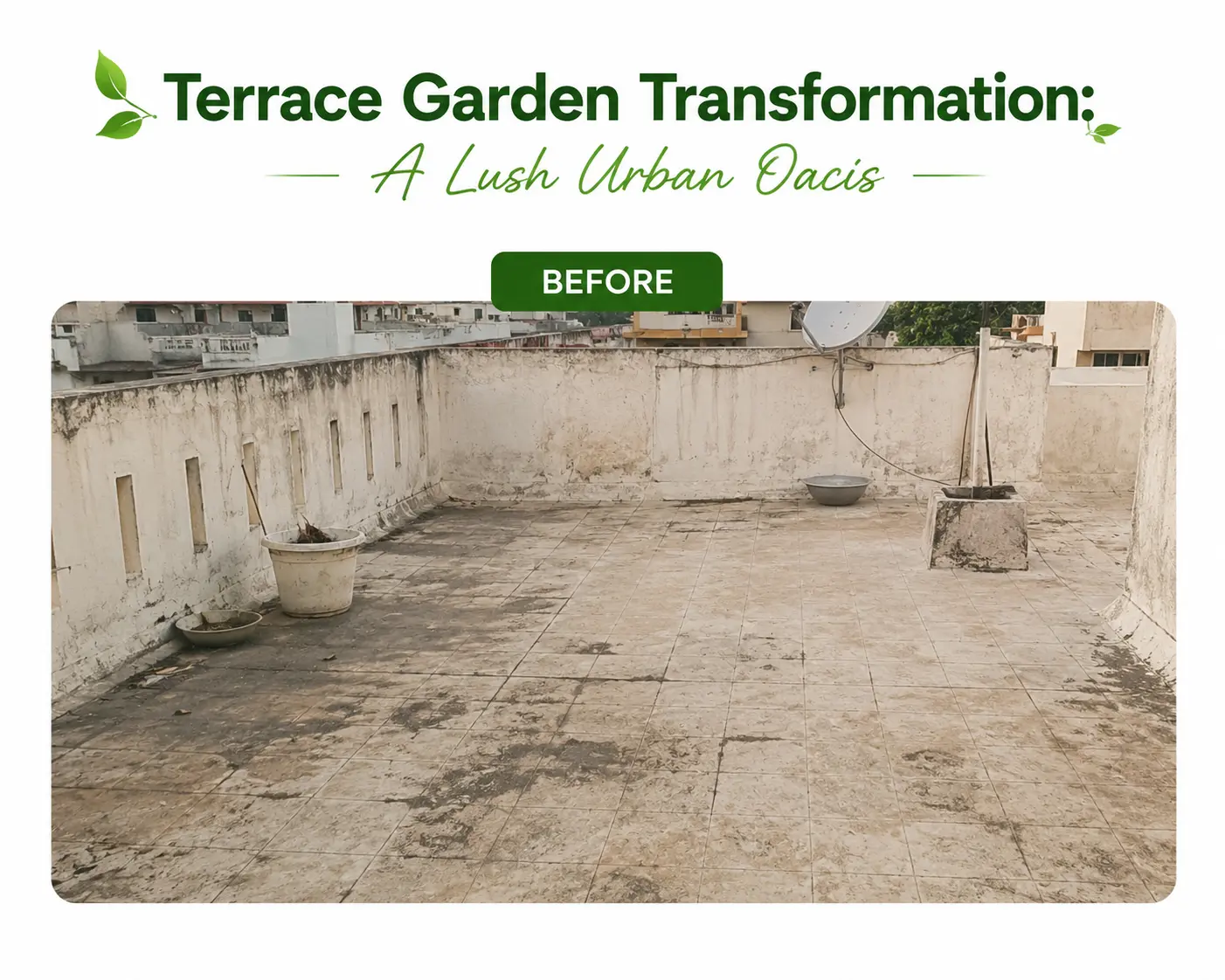 Terrace Garden Transformation: A Lush Urban Oasis before